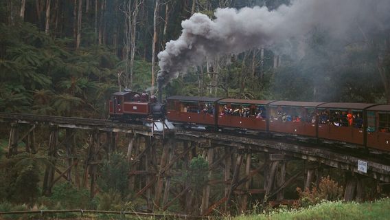 BelgraveTours