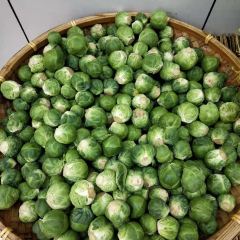 沂蒙小院农家菜(沂南店) User Photo