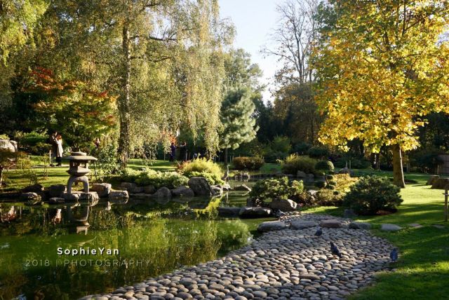 Kyoto Garden