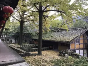 春光酒楼(官庄镇卫生院东)