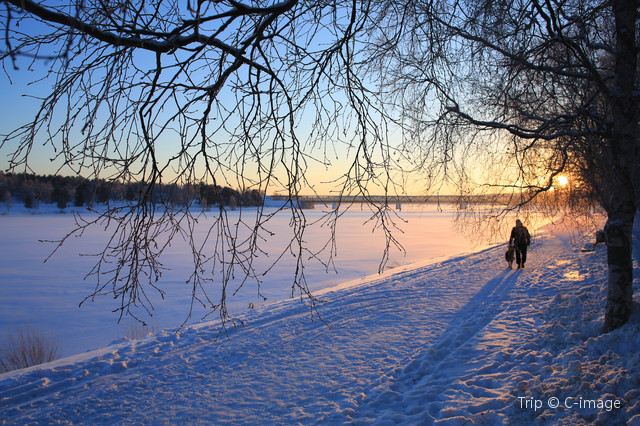 Rovaniemi: Santa's Home on the Arctic Circle