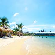 Природа / дикая природа