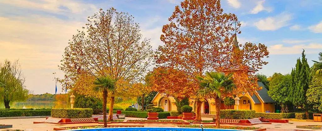 Fall Viewing Attractions