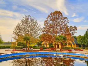 Popular Fall Viewing Attractions in Fuyang