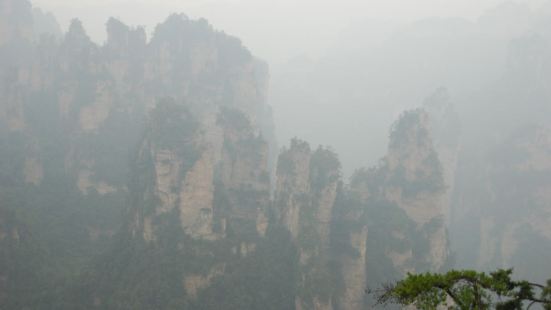张家界的四十八将军岩就是在袁家寨百龙天梯的上方观赏在山下的四