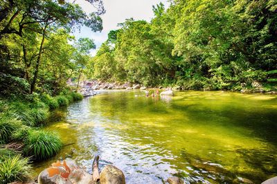 Mossman Gorge Cultural Centre