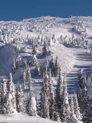 大白山滑雪度假村