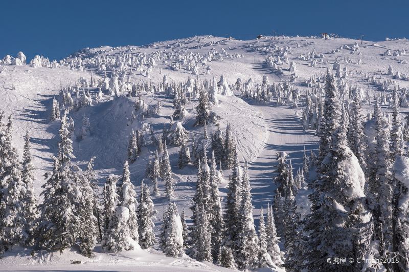 大白山滑雪度假村