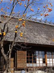 이야시노사토 고대 일본 마을
