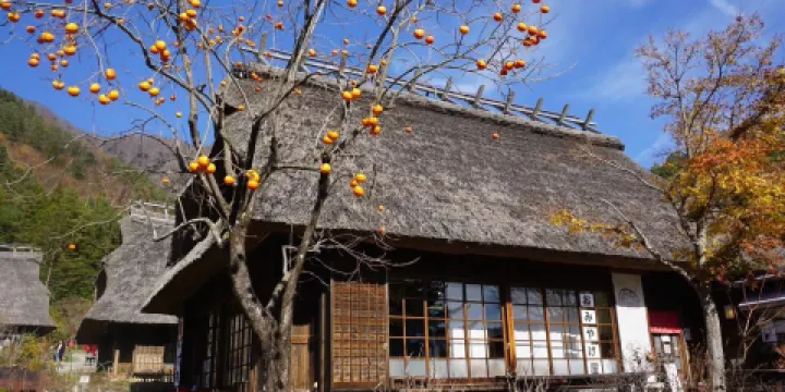 富士西湖合掌村落