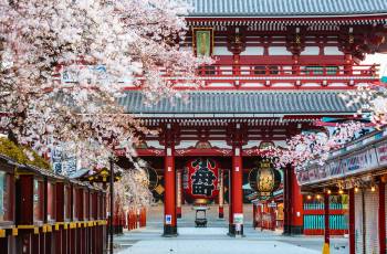 Top 13 Activities in Tokyo