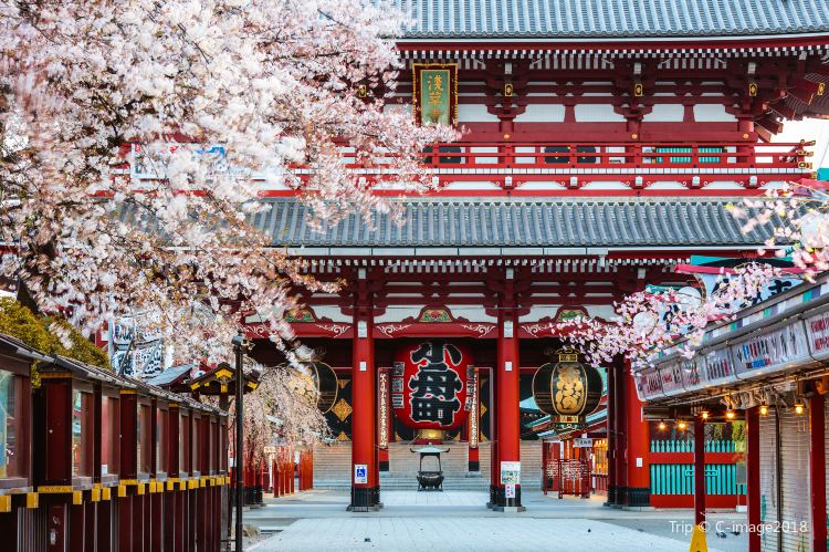 上野/淺草