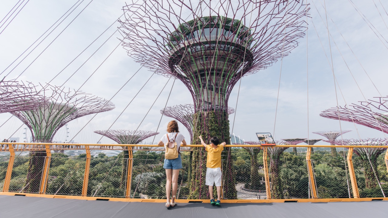 滨海湾花园结论