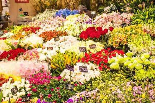 Kuromon Market + Dotonbori + Shinsekai Hondori Shopping Street + Osaka Kizu Market One Day Tour