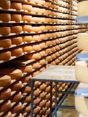 La Maison du Gruyere a Pringy