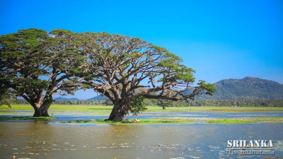 Tissa Lake