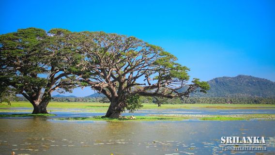 Hambantota