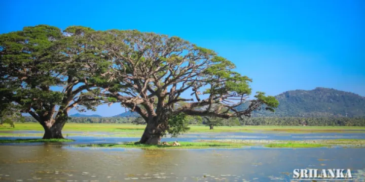 蒂瑟默哈拉默湖
