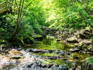 Mossy-Stone Valley