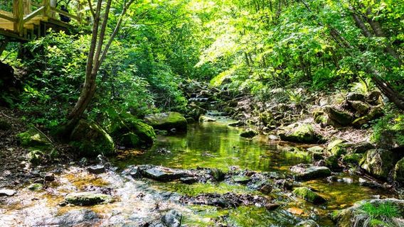 Зелёная долина