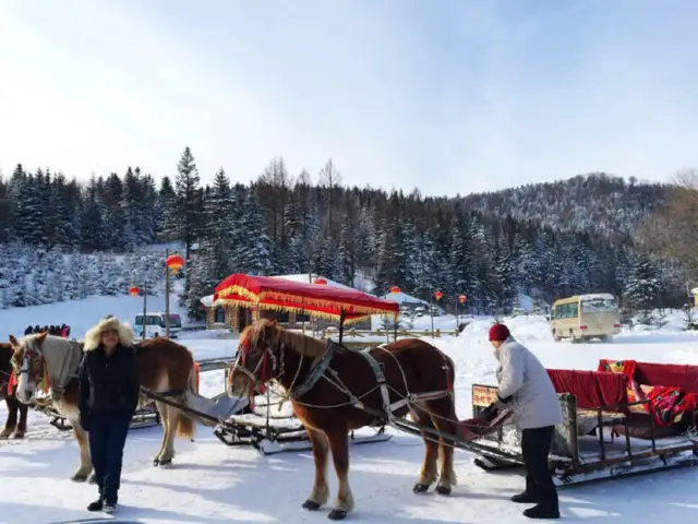 Snow Sledding in Mudanjiang