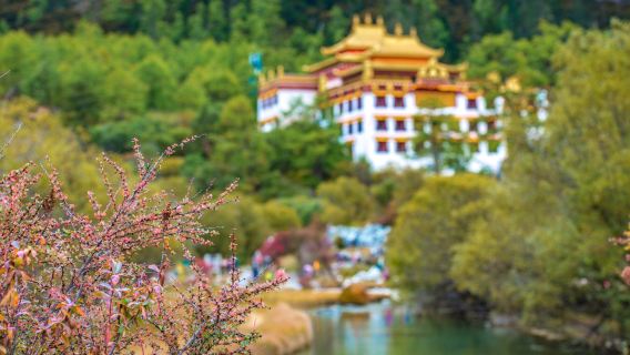 稻城亞丁機場+蚌普寺+紅草地+稻城白塔一日遊