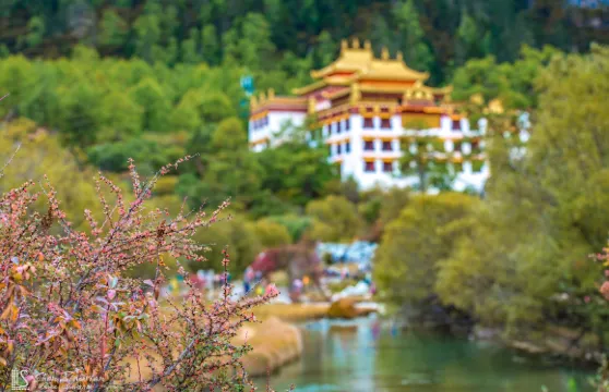 稻城亞丁機場+蚌普寺+紅草地+尊勝塔林一日遊