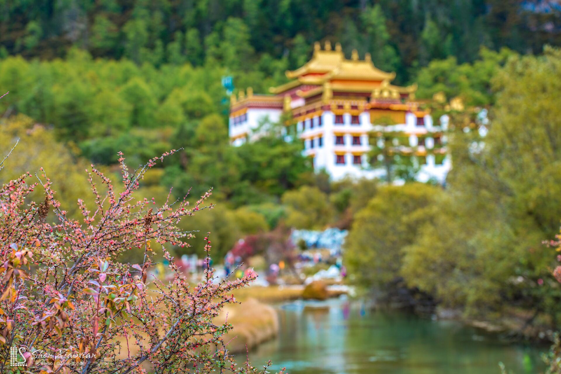 稻城亞丁機場+蚌普寺+紅草地+尊勝塔林一日遊