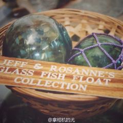 Jeff's Pirates Cove User Photo