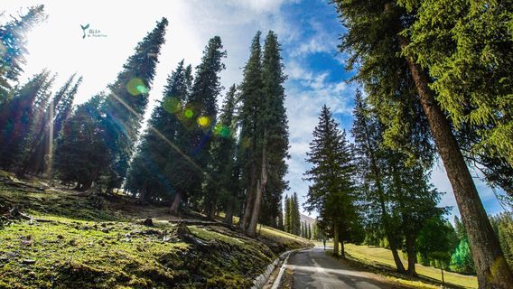 Nalati National Forest Park