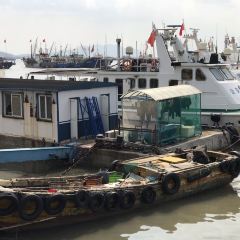 沈家门海鲜夜排档39-40号 User Photo