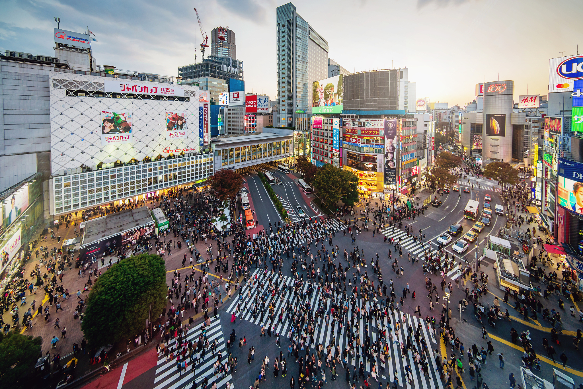Shibuya