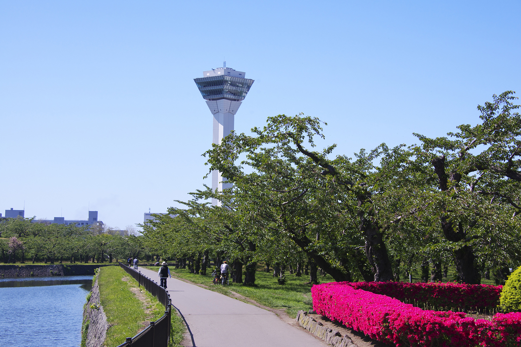 北海道 五稜郭タワー 入場Eチケット（引換券）予約