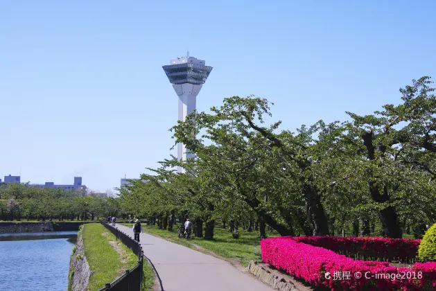 Jeju Air Flights to Miyazaki