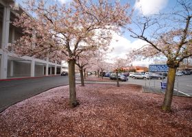 Hotels near Hemu Village