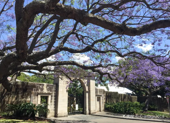 Отзывы об отеле Grand Hotel Sydney