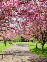 花溪公園