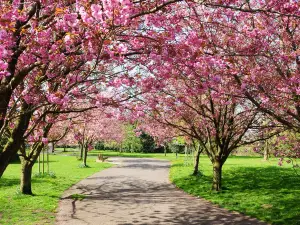 花渓公園