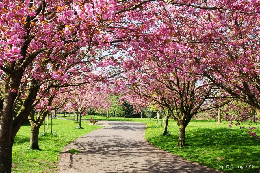 花溪公園