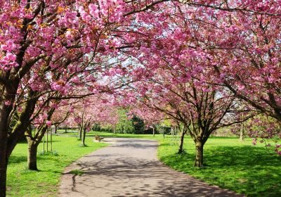 花溪公園