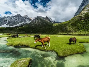 Luorong Pasture