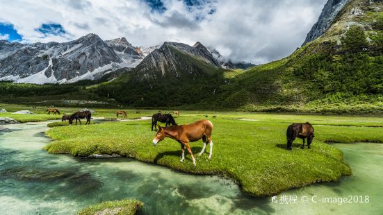 Luorong Pasture