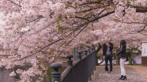 舞鶴公園