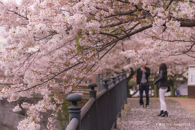 Maizuru Park