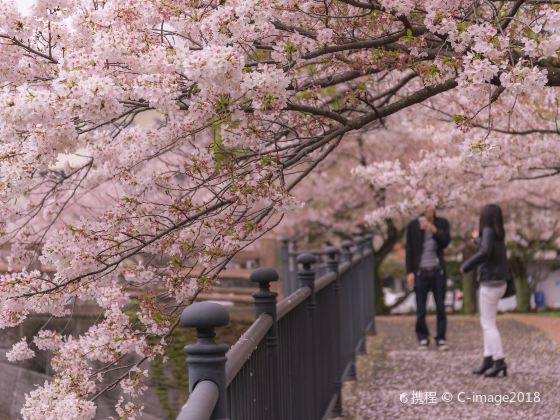 舞鶴公園