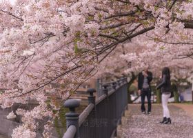 Hotels near Fukuoka International Congress Center