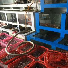 Haichaofengwei User Photo