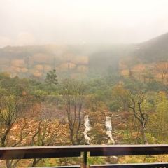 波羅蜜多飯店·如飴軒張用戶圖片