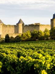 Carcassonne Castle