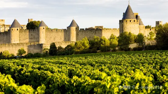 Carcassonne Castle